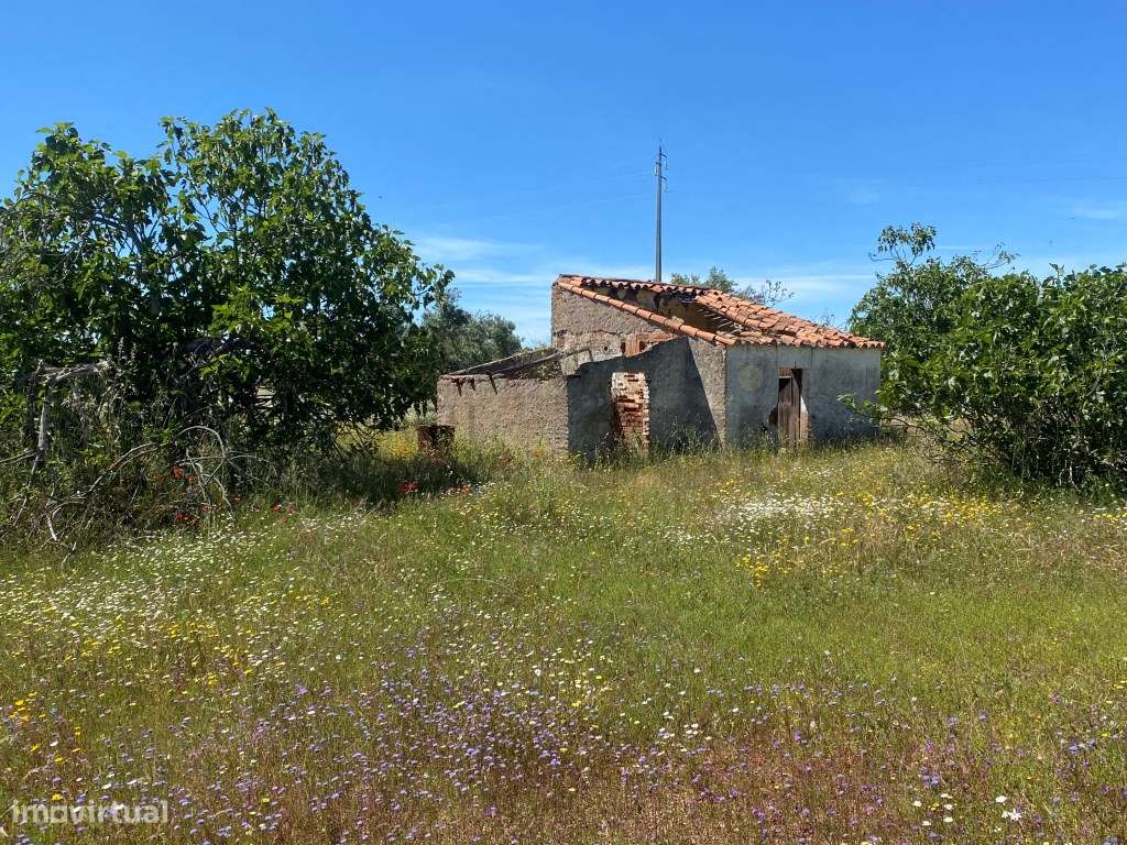 Quinta em Vila Nova de São Bento, com uma ruina para ser recuperada... - Grande imagem: 5/25