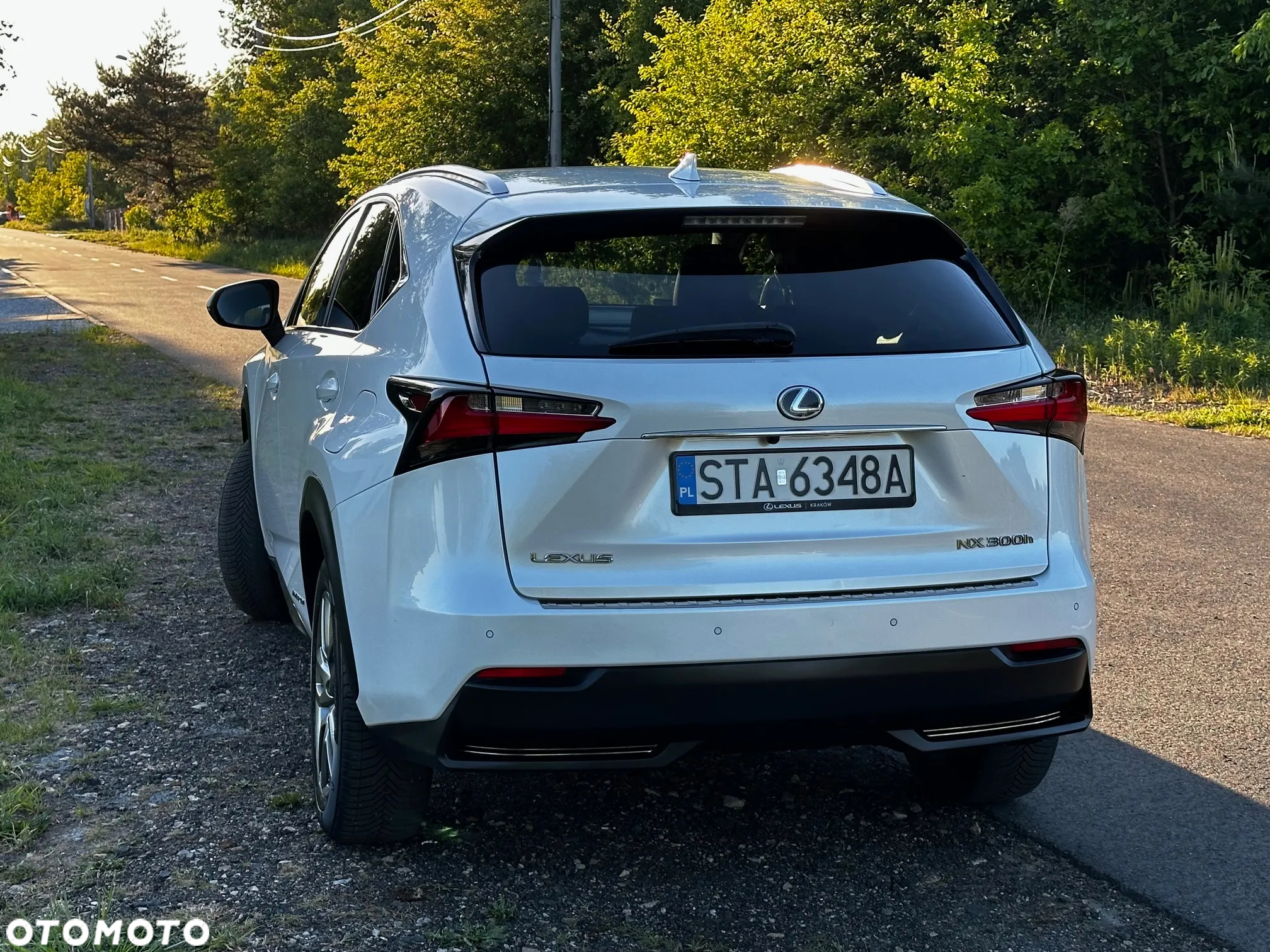 Lexus NX - 6