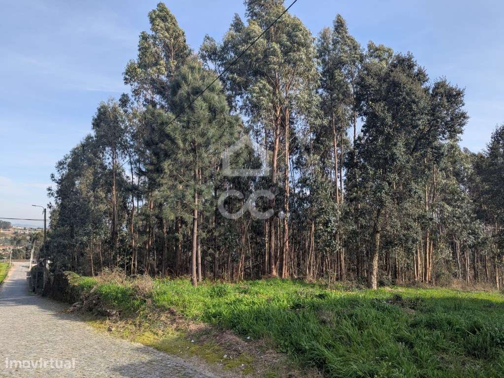 TERRENO RÚSTICO COM CAPACIDADE CONSTRUTIVA | 10.290 m² | LOUSADO Vi...-0
