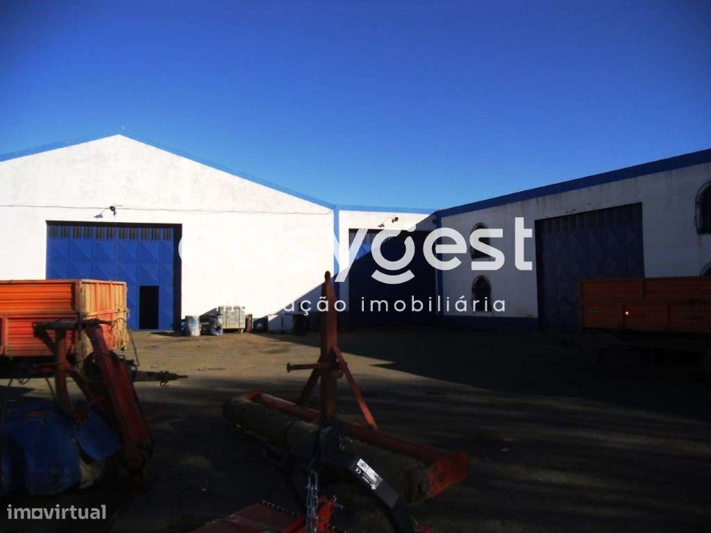 Armazém Industrial na Cabeça Gorda com 845 m2 de construção - Grande imagem: 2/16