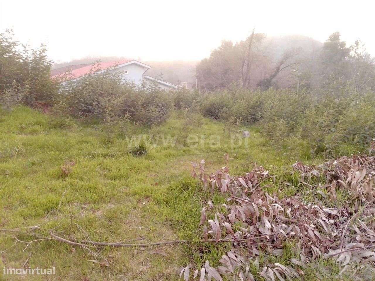 Terreno para Construção em Louredo - Paredes - Grande imagem: 5/6