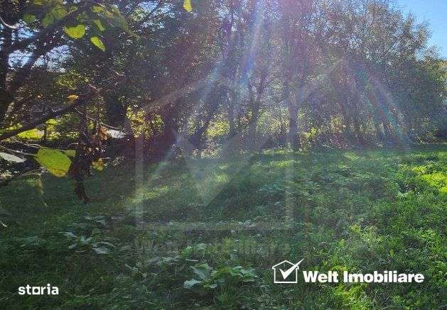 Teren intravilan, 977 mp, Utr Is_A,  Manastur, zona str Campului - Imagine principală: 2/3