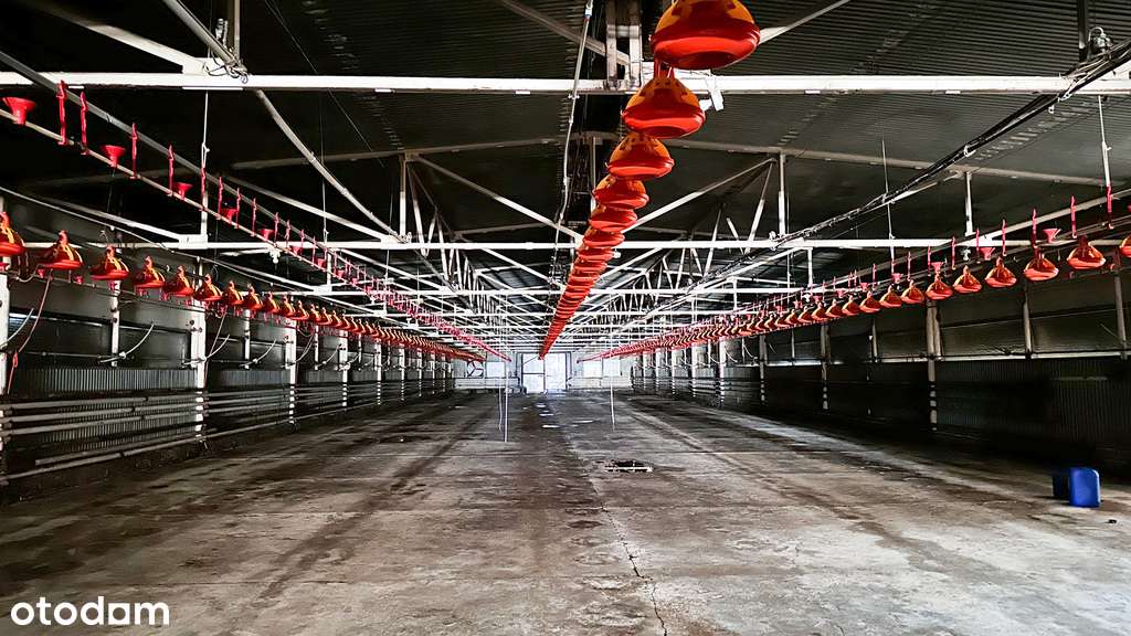 Częściowo zabudowana rolno-produkcyjna-10