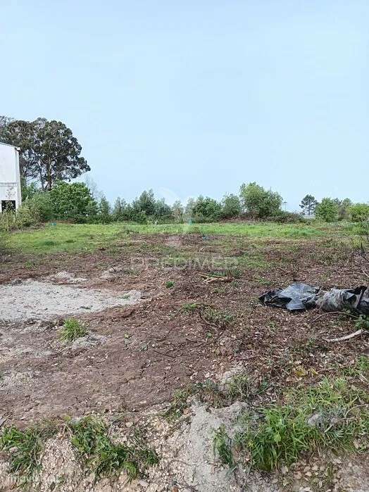 Terreno para possivel Atividade industrial - Sobreiro - Grande imagem: 1/2