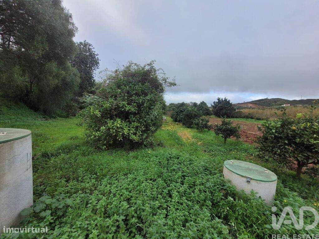 Terreno em Silves - Grande imagem: 1/6