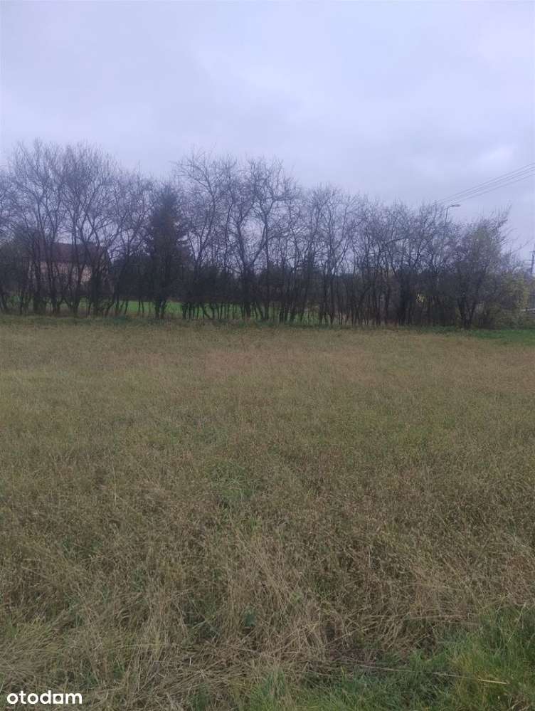Działka Morasko - Pełny obrazek: 3/5