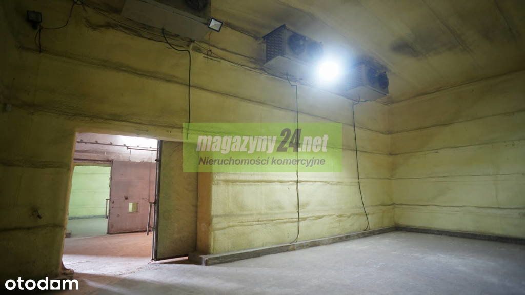 Magazyn chłodnia 300 m2 Lesznowola