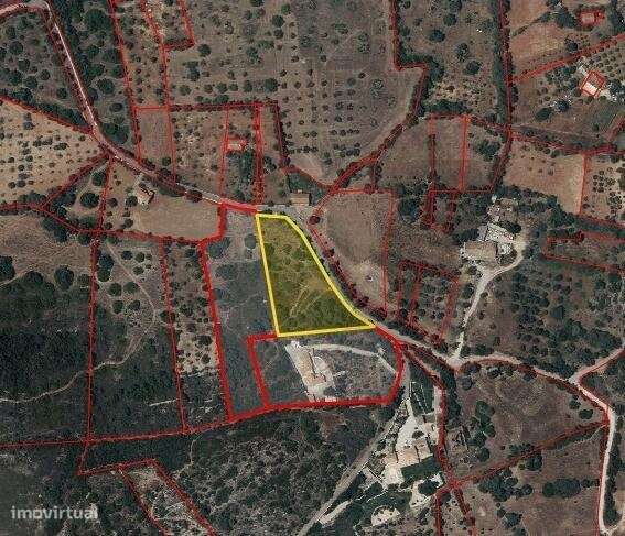 Terreno Rústico com 7500 m2 no Poço Novo - São Clemente - Loulé - Grande imagem: 5/30