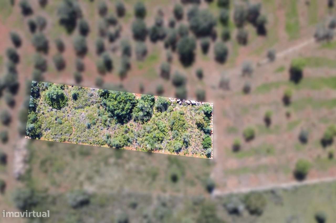 Terreno Rústico com 1390 m² na zona de Lagoão - Grande imagem: 2/17