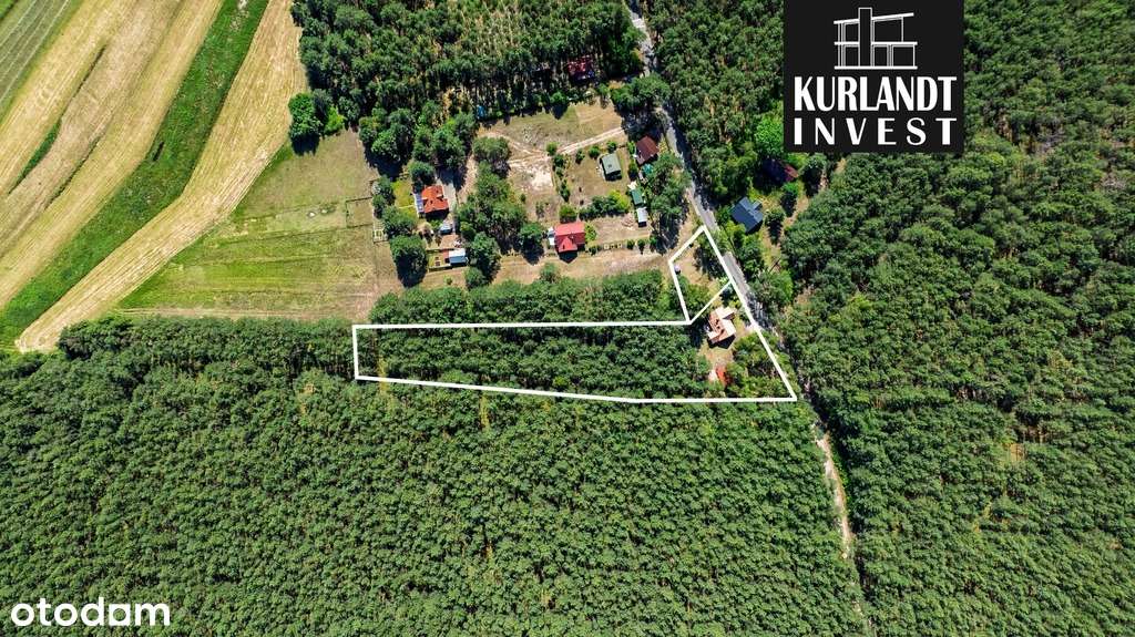 Dom z lasem Kowalskie Błota Bory Tucholskie-5