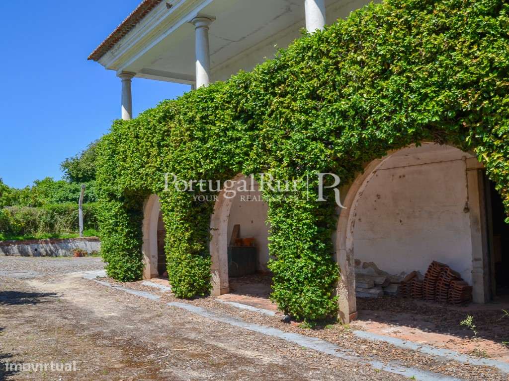 Palacete T10 em Coimbra - Grande imagem: 2/34