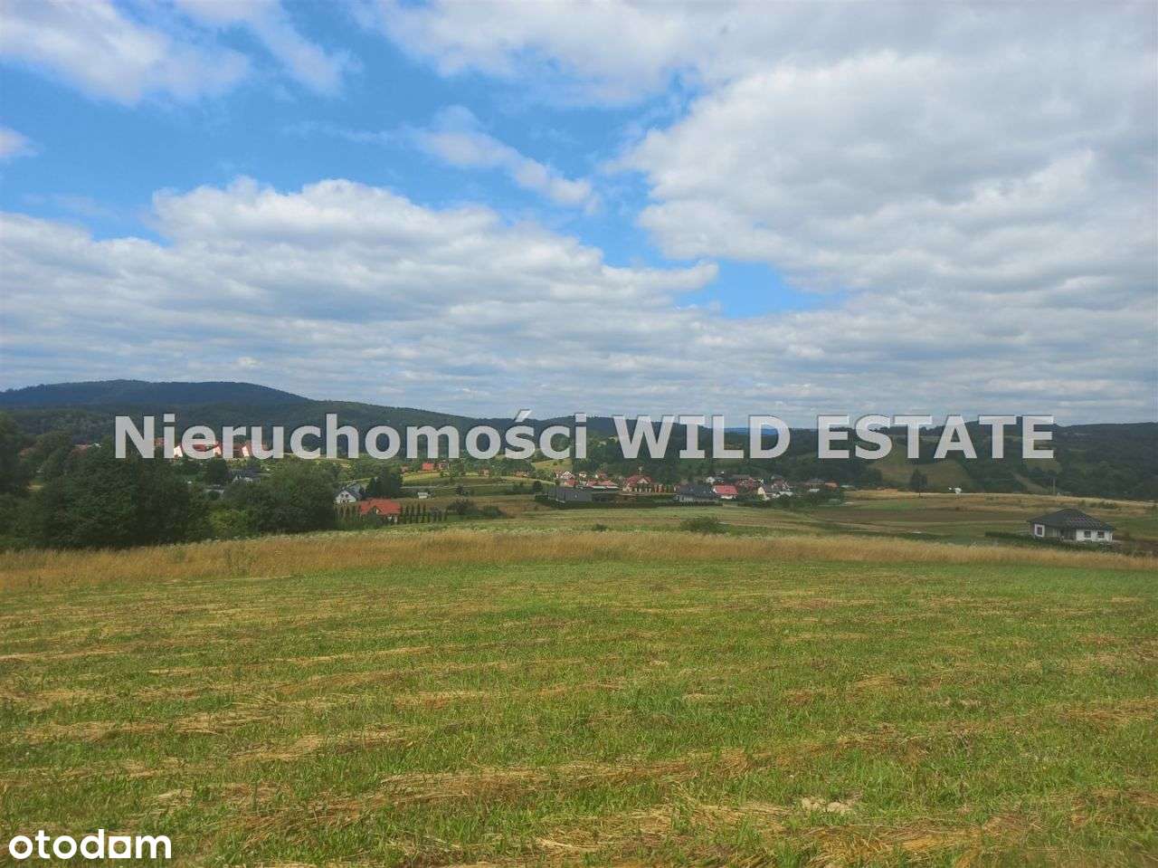 Działka, 6 521 m², Lesko - Pełny obrazek: 5/6