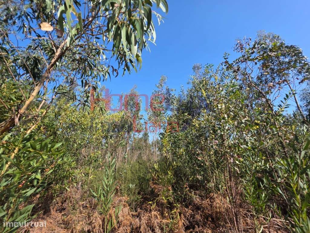 Terreno na zona industrial de Albergaria-a-Velha-10