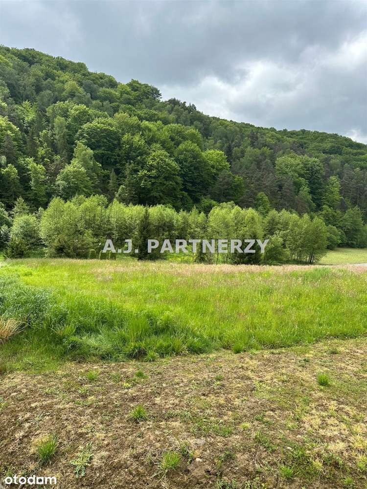 Działka budowlana 31 ar koło Łapanowa-0