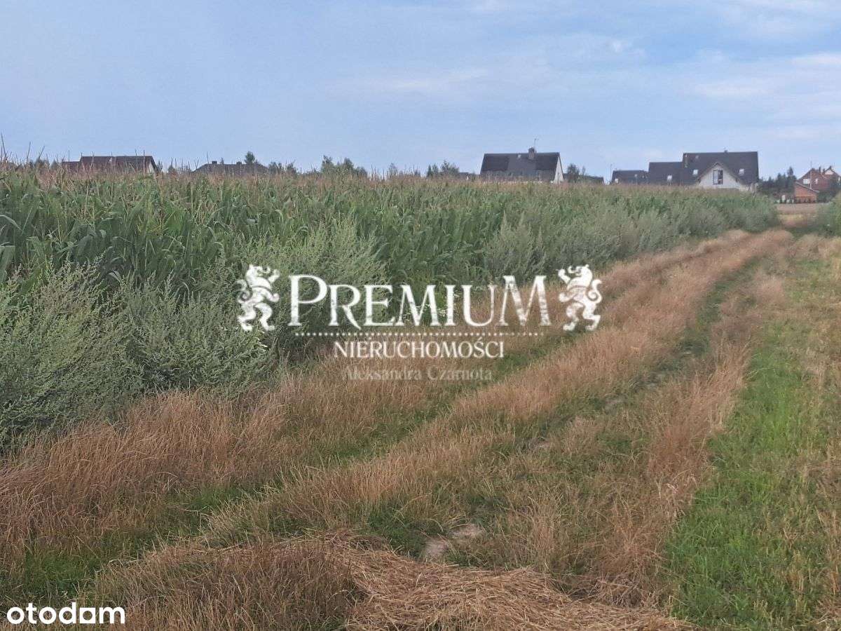 Działka w Brzezinie z wydanymi warunkami - Pełny obrazek: 4/5