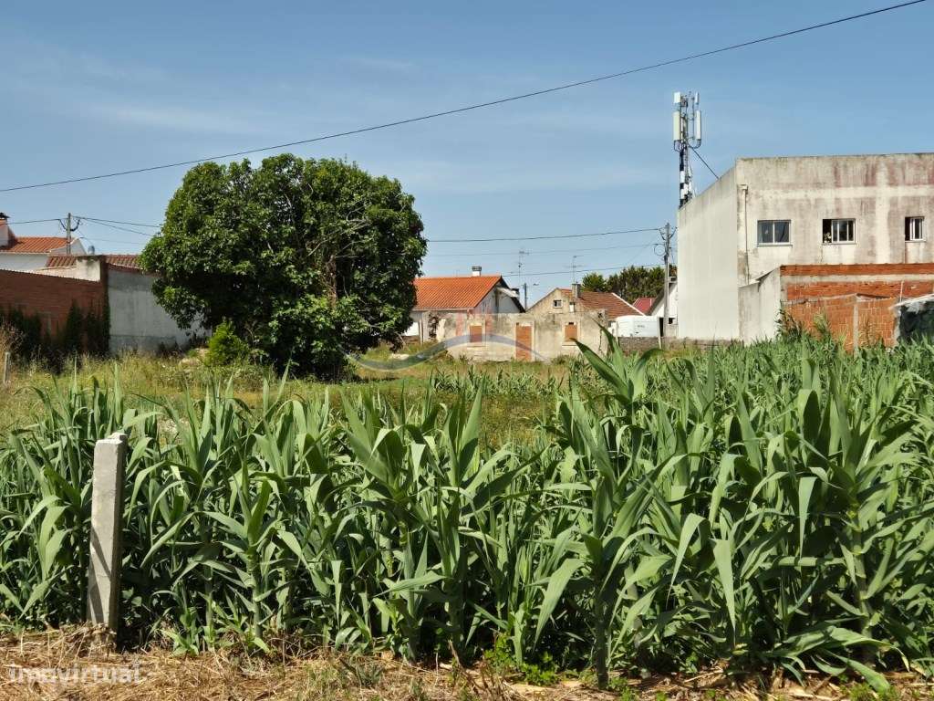 Terreno - Marinha Grande - Grande imagem: 5/9