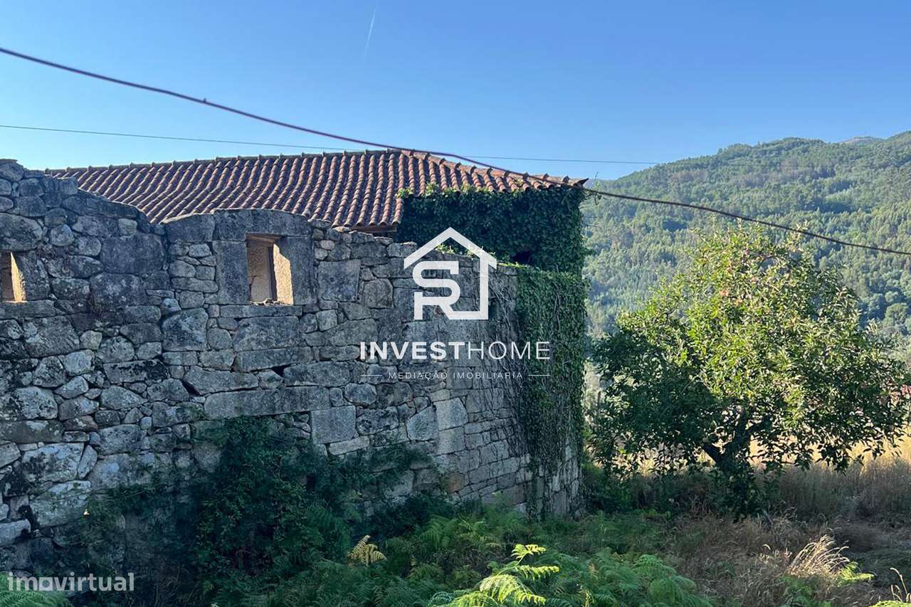 Quinta p/ Restauro | Casa Pedra | Vinha | Lagar | Cabeceiras de Basto - Grande imagem: 4/24