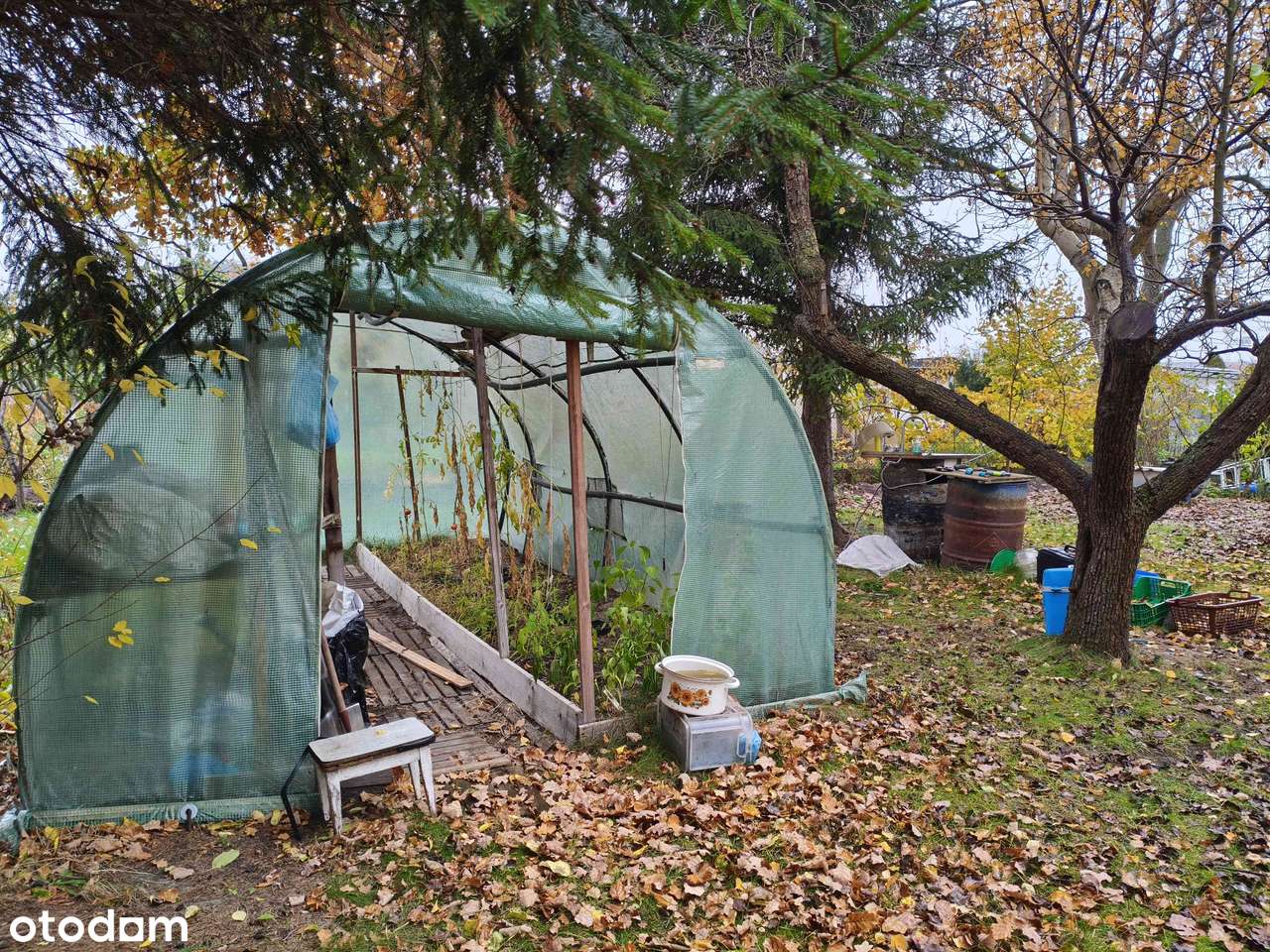 Działka ROD Kolejarz w Bydgoszczy! - Pełny obrazek: 5/8