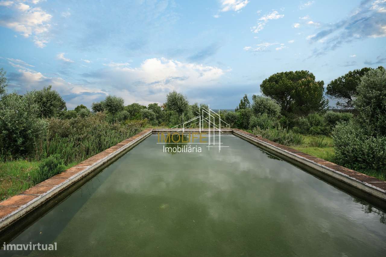 MONTINHO DO CHIADO - MALARRANHA - PAVIA-58