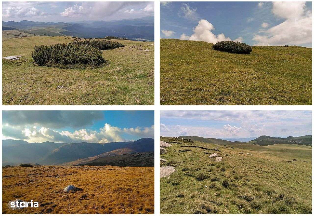 Loturi în zona alpină înaltă a Bucegilor, dezvoltare durabilă - Imagine principală: 4/19