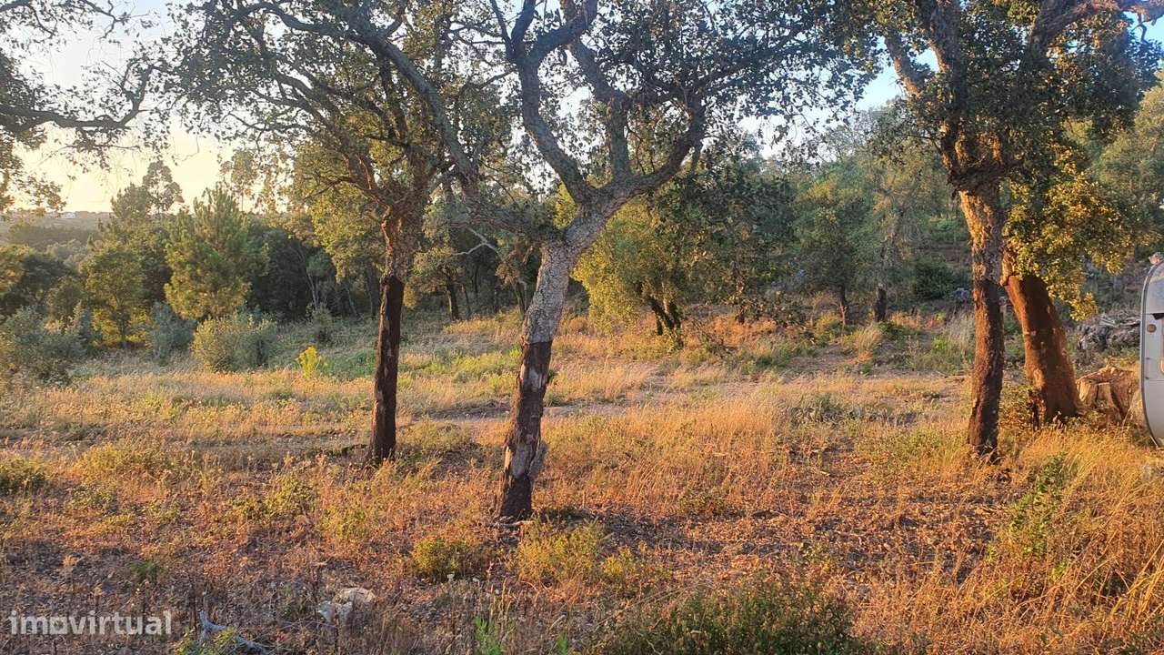 Terreno para Moradia com vista para a Serra D'Aire e Candeeiros-24