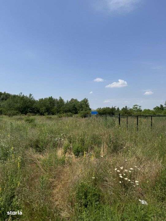 Domnesti – Strada Salciei – Teren intravilan 500 mp x 2 loturi - Imagine principală: 3/11
