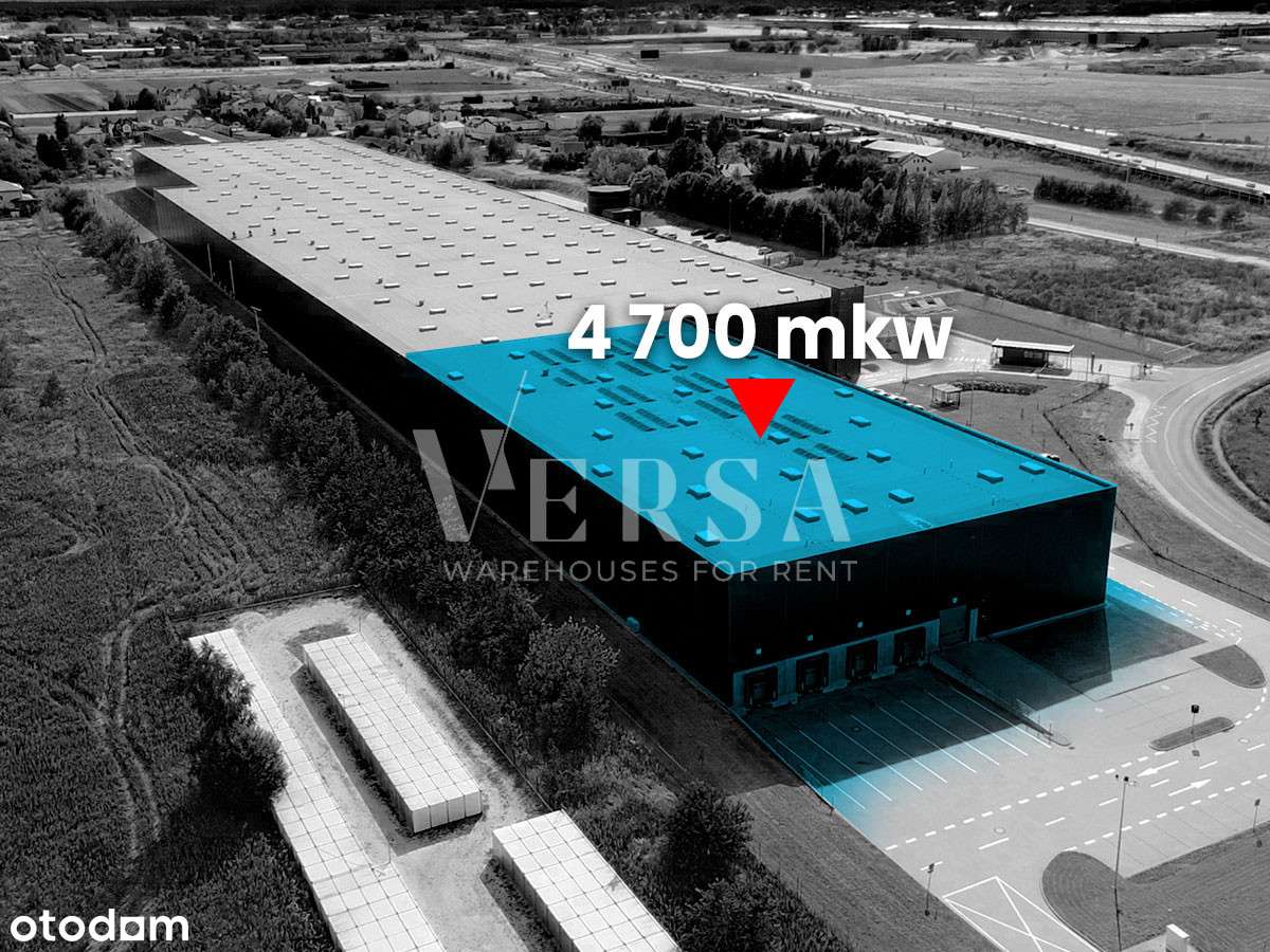 versa595277 - Pełny obrazek: 5/11