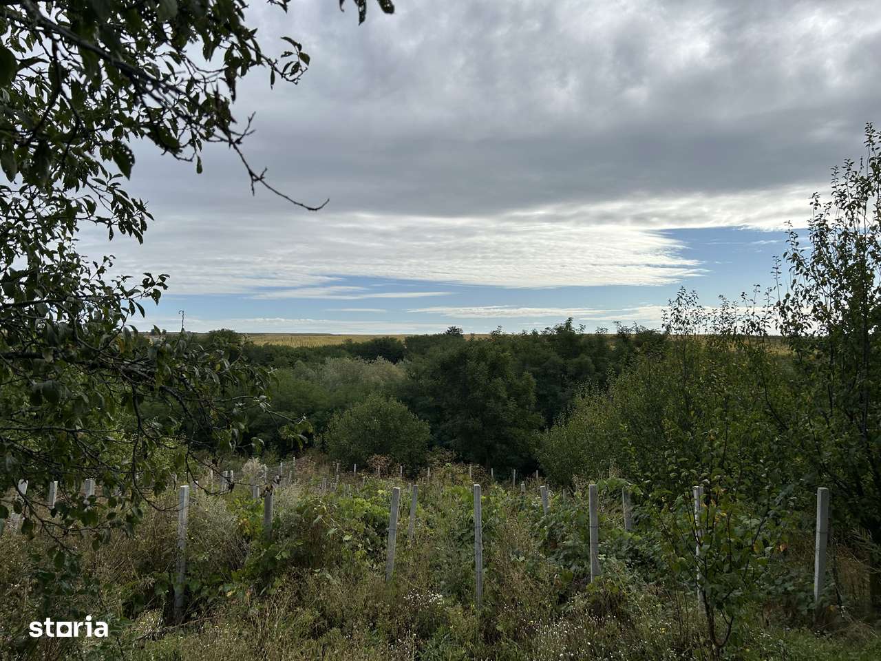 39.000 e Casa 2 c SCHITU DUCA-SLOBOZIA IASI 2018 asfalt teren 1150 mp-6