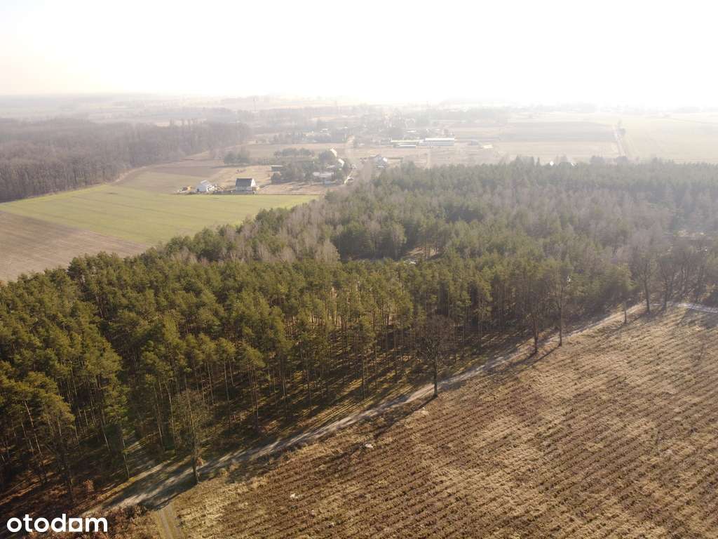 Zamieszkaj w rytmie natury – działka marzeń-6