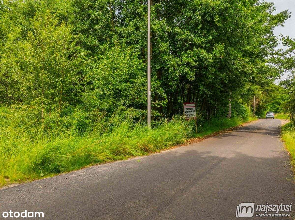 Zieleniewo - Działka blisko jeziora Miedwie - Pełny obrazek: 4/19