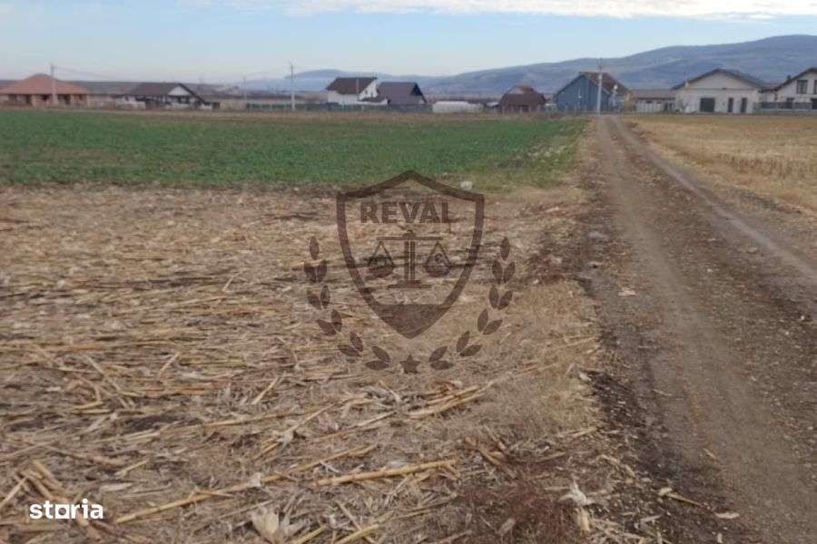 Teren intravilan generos în Ighiu, ideal pentru investiții, 2.900 mp. - Imagine principală: 4/6