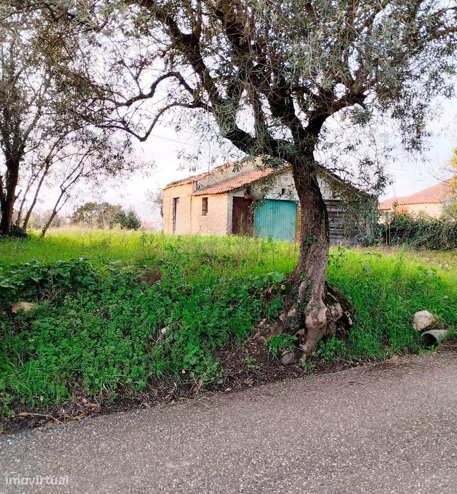Terreno em Pouca pena - Soure - Grande imagem: 4/14