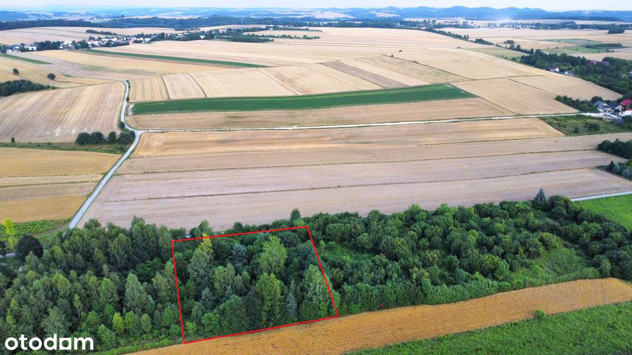 OPCJA CAŁOŚCI 3828 m² !! Widokowa! Objęta MPZP! BUDOWLANA !! - Pełny obrazek: 5/8