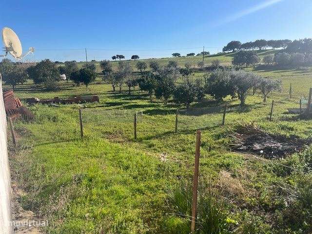 Quintinha, para venda, Viana do Alentejo - Viana do Alentejo-12