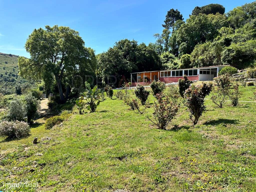 Quinta - Quintinha - Moradia-26