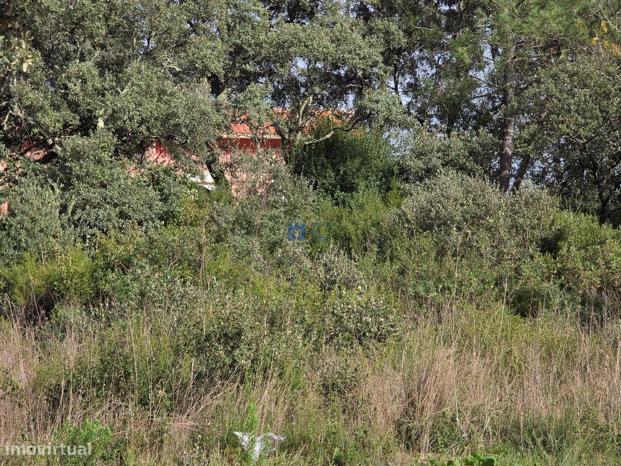 Lotes de terreno em Minde-10