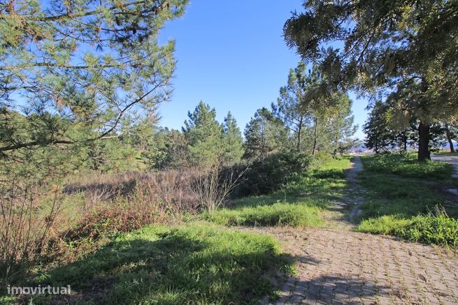 Lote de Terreno na Urbanização de Santa Luzia em Abrantes-14