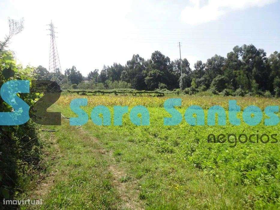 Terreno com 3 artigos, no total de 6.700mts em Pousadela, Nogueira ... - Grande imagem: 1/3