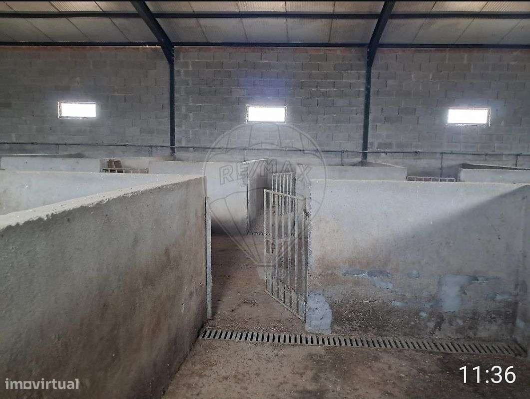Armazém  para venda - Grande imagem: 4/14