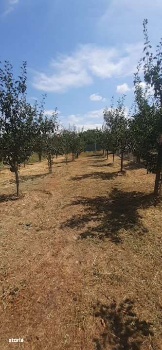 0% Comision - 2095 mp TEREN INTRAVILAN - SERBOENI ARGES - Imagine principală: 4/6