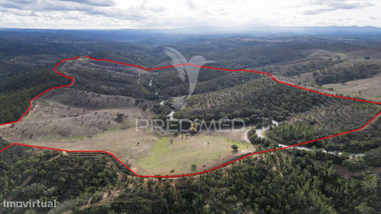 Herdade em Luzianes Gare com 57,2250 hectares e duas ruínas - Mais
