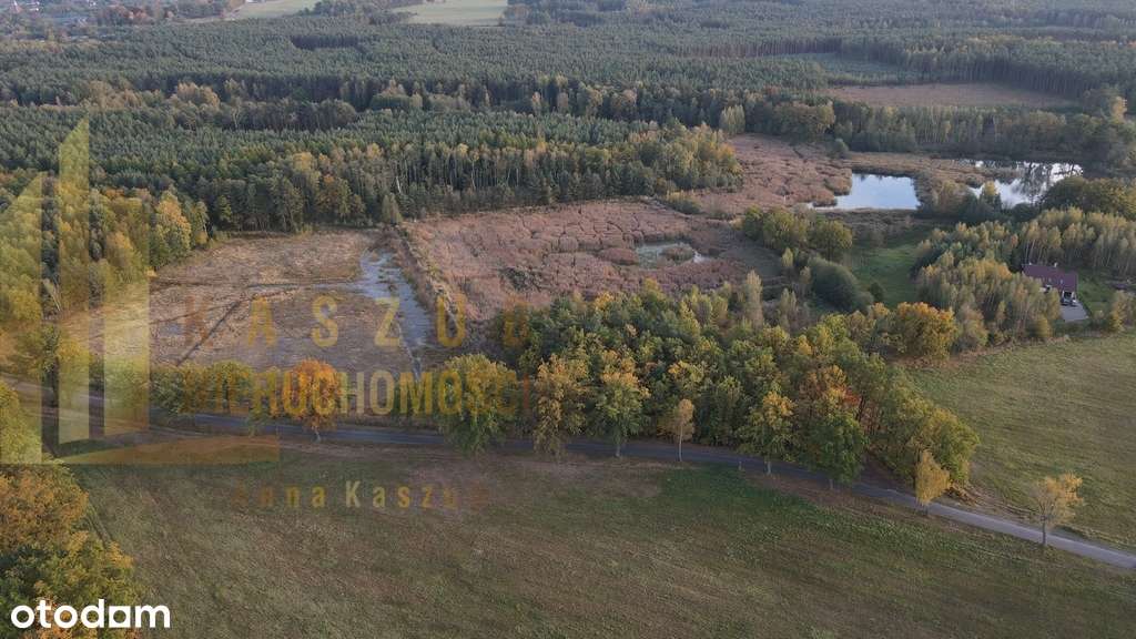 Na sprzedaż kompleks stawów w Miłowicach-9