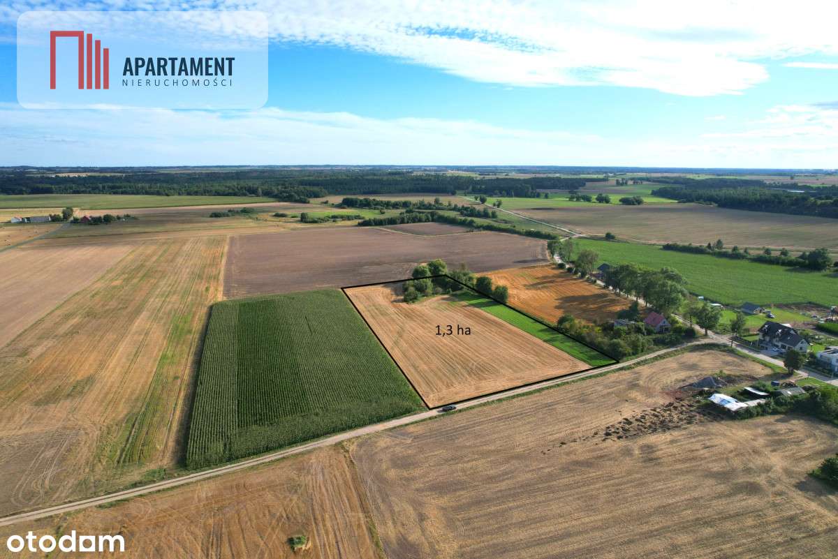 Tylko u nas !!! Działki ze stawem. - Pełny obrazek: 4/12