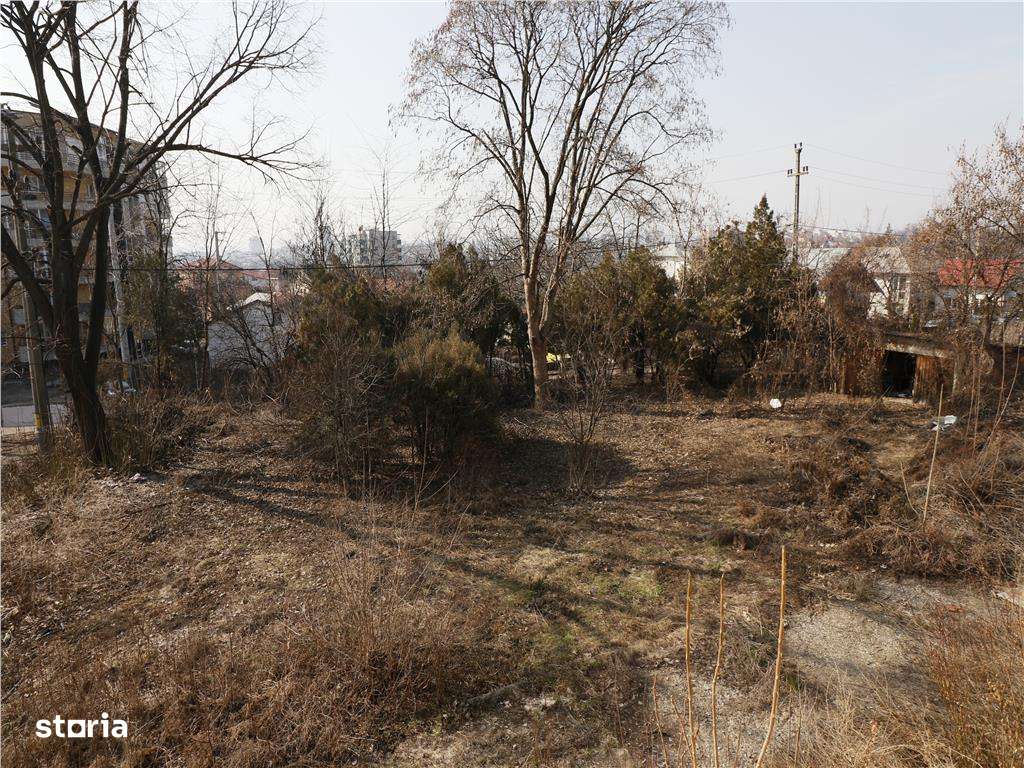 Cladire istorica- Ideal Investitie 700 mp + 3200 mp teren, Tatarasi - - Imagine principală: 5/6