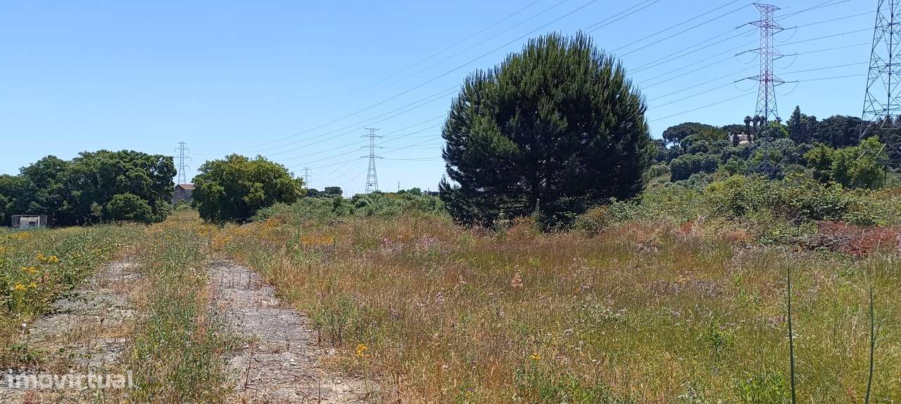 Terreno Rústico – Palmela-19