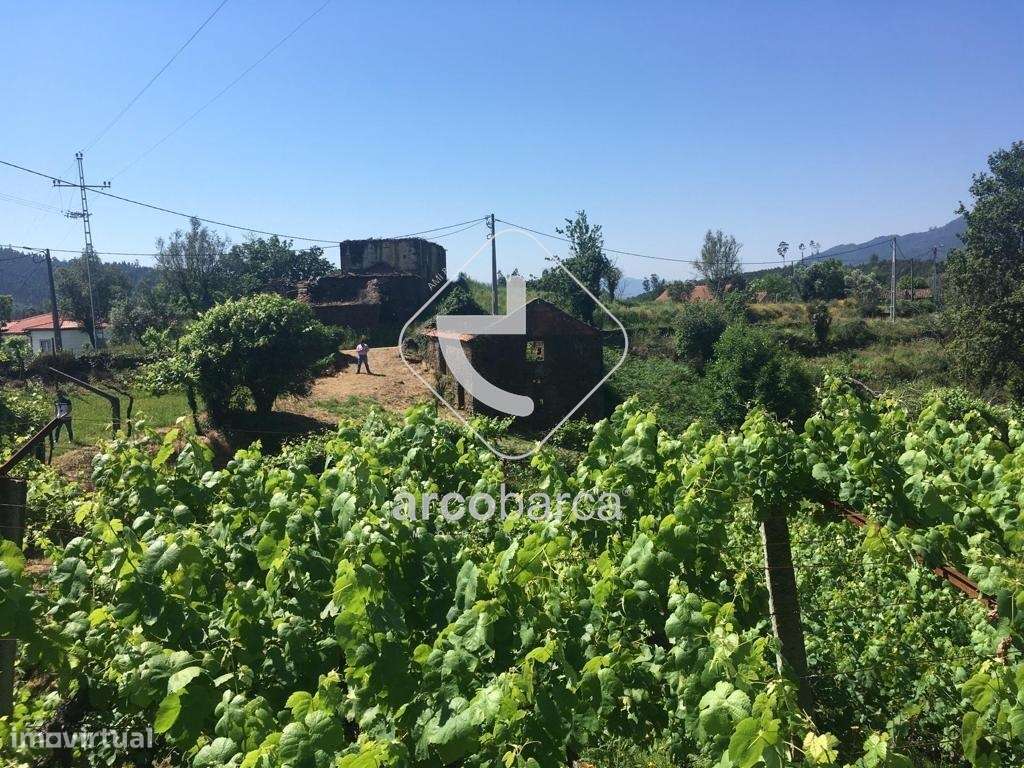Quintinha ruinas p/restauro com 2520m2 - Moreira Lima - Ponte de Lima-28