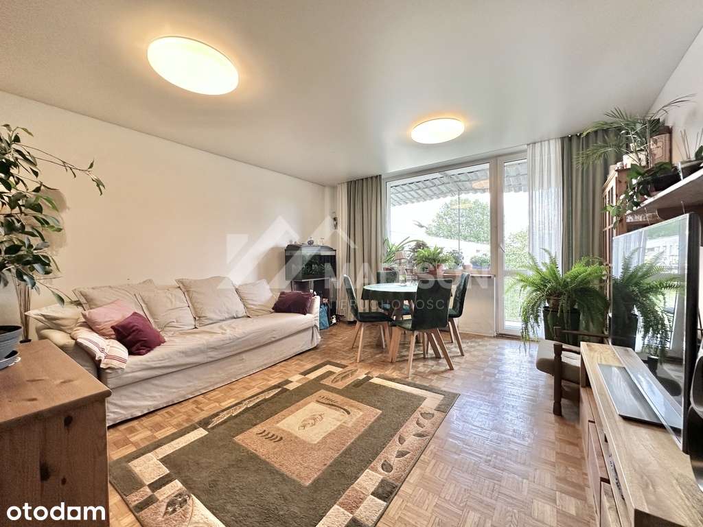 57 m | 3 pokoje z osobną kuchnią | balkon - Pełny obrazek: 2/12