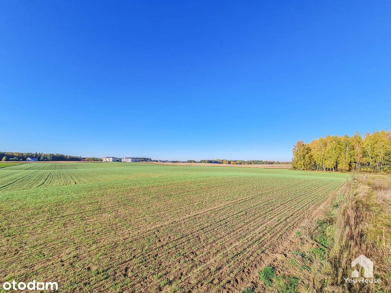 Działka budowlana blisko Jeziora - Rybno-10