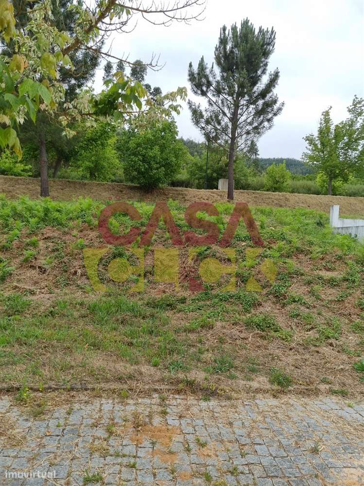 Terreno T3 Venda em Águas Belas,Ferreira do Zêzere-7