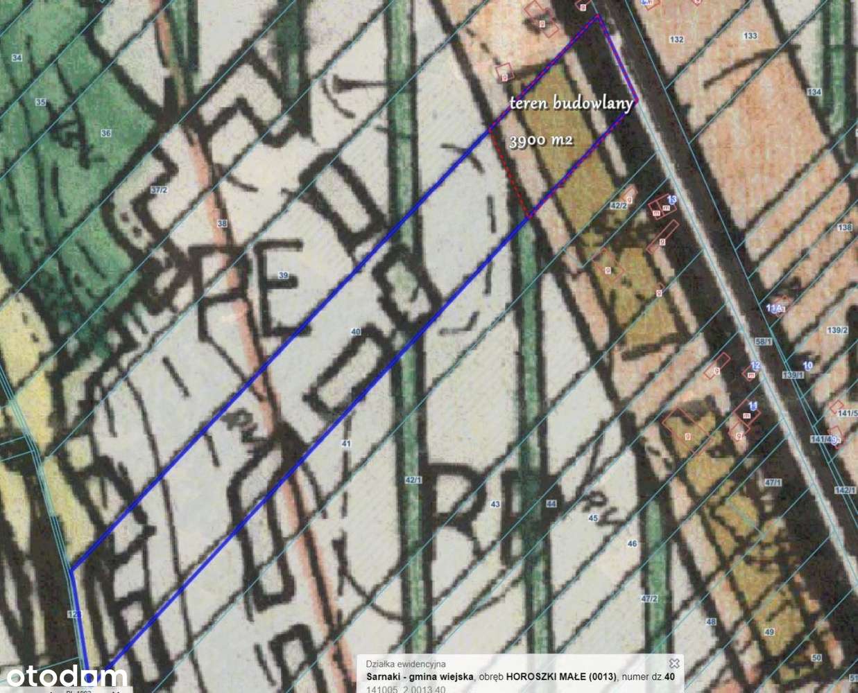 Działka, 20 016 m², Horoszki Małe - Pełny obrazek: 4/4